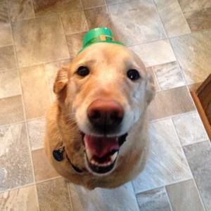 Meet your Posher, Jim